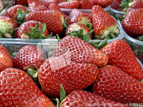 Image of Erdbeeren