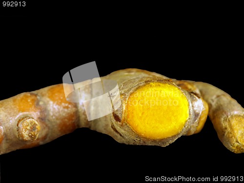 Image of Gelbwurz