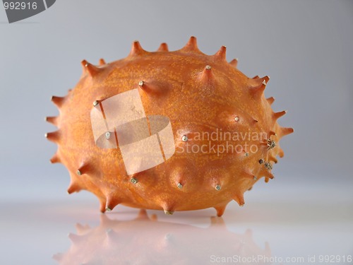Image of Kiwano