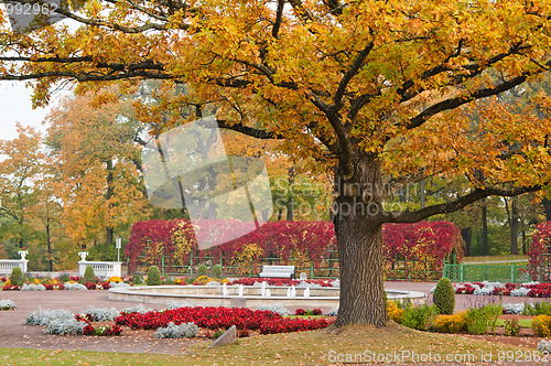 Image of Autumn park Kadriorg, Tallinn