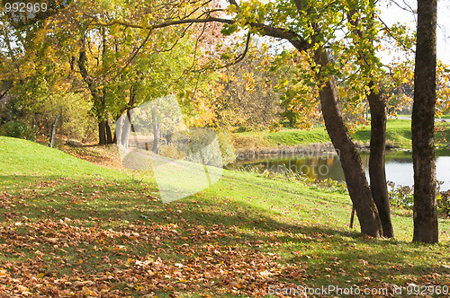 Image of Autumn landscape