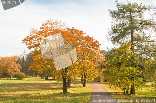 Image of Autumn landscape