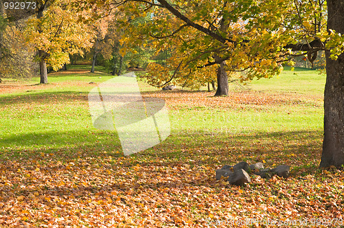 Image of Autumn landscape