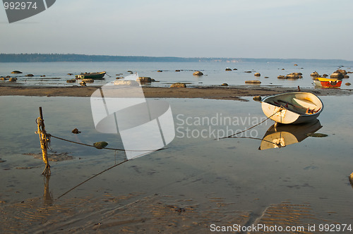 Image of Morning on the bank of the Baltic sea