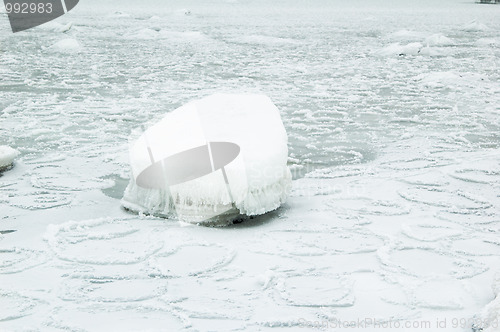 Image of Seacoast in a frosty fog