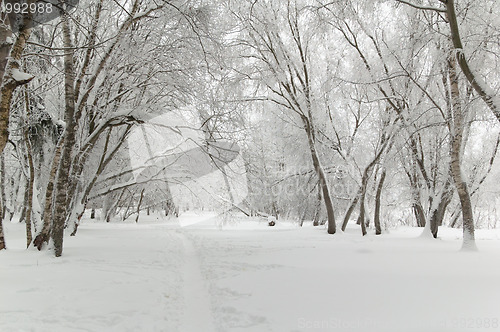 Image of Winter park