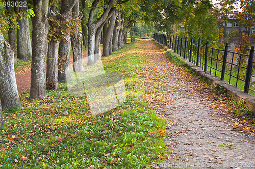 Image of Path in autumn park