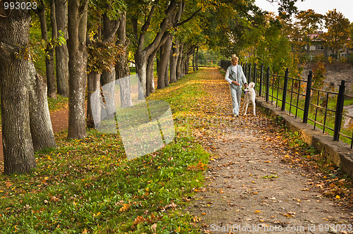 Image of Path in autumn park