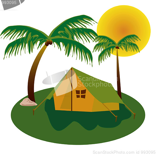 Image of Tent costing under palm
