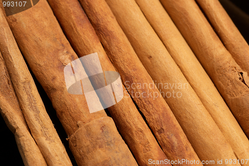 Image of Cinnamon sticks