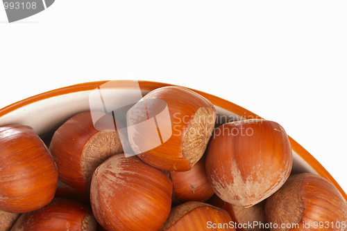 Image of Hazelnuts