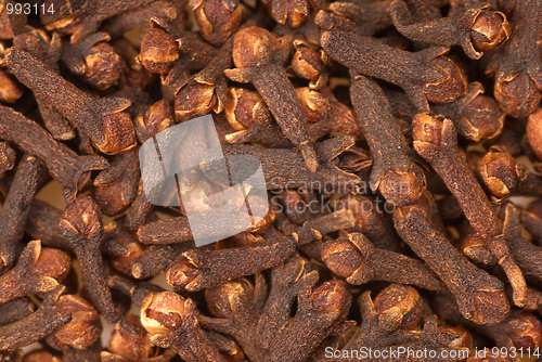 Image of Cloves