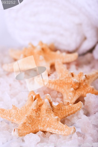 Image of seasalt, towel and starfish