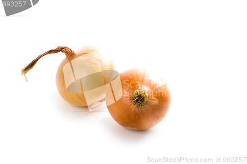 Image of two fresh onions