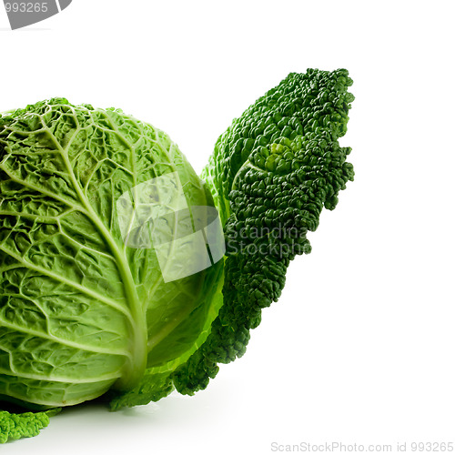 Image of fresh savoy cabbage