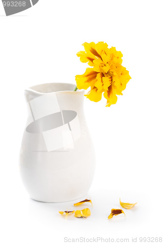 Image of marigold flower in vase