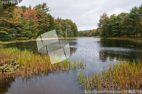 Image of Autumn lake