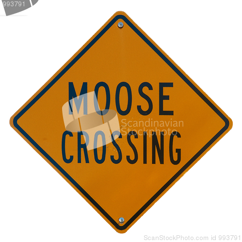 Image of Moose Crossing