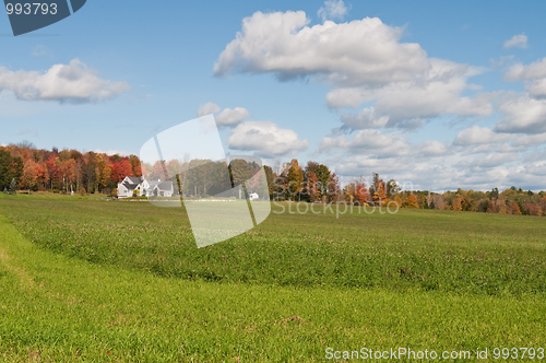 Image of Farm