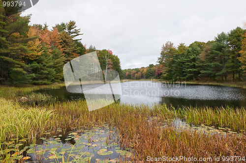 Image of Autumn lake