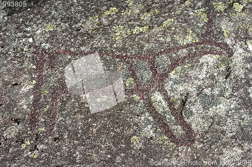 Image of Petroglyphs