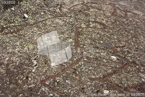 Image of Petroglyphs