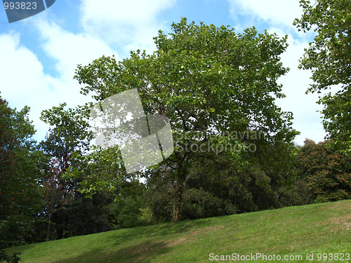 Image of Kelvingrove, Glasgow