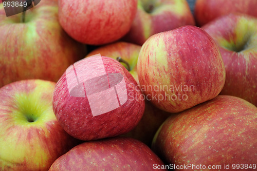 Image of closeup Apples