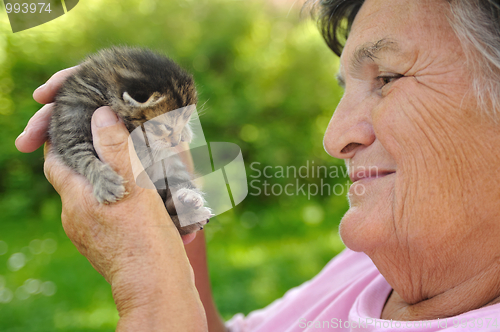 Image of Senior woman holding little kitten