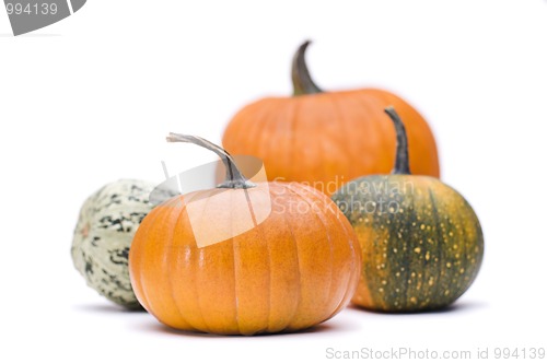 Image of pumpkins