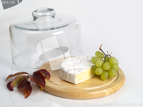 Image of Cheese Cover