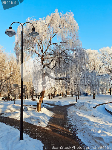 Image of park in winter