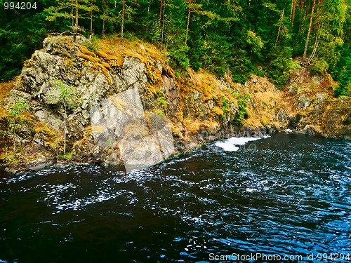 Image of forest lake