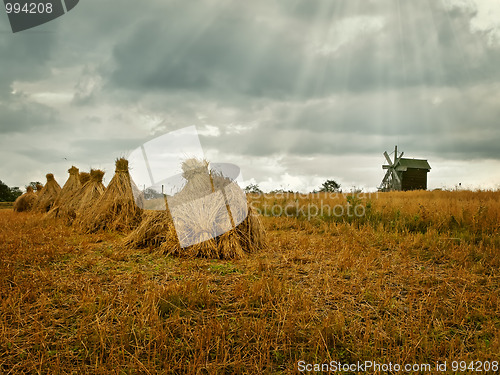 Image of field in the village