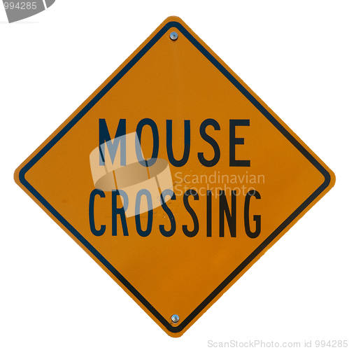Image of Mouse Crossing