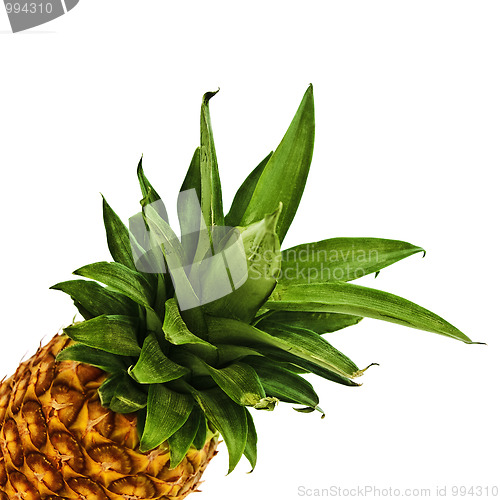 Image of pineapple