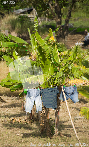 Image of laundry drying rural nicaragua