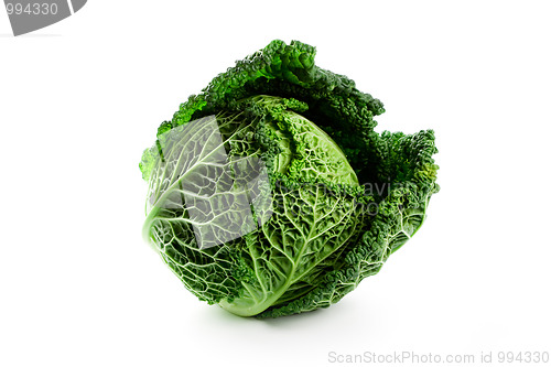 Image of fresh savoy cabbage