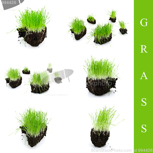 Image of grass set