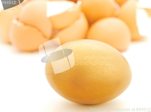 Image of egg