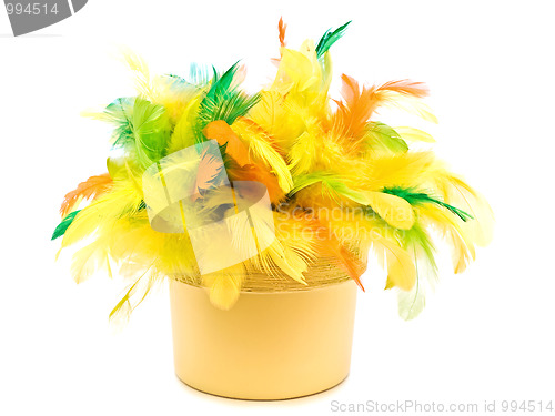 Image of easter feathers