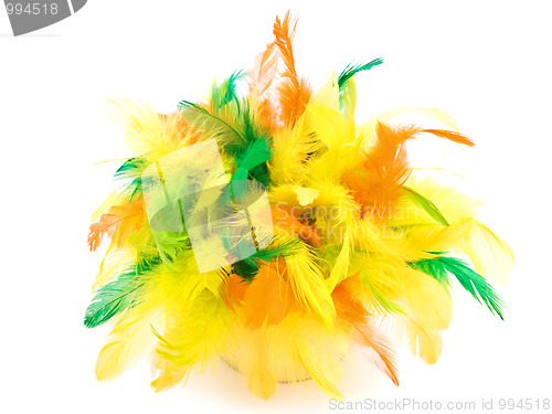 Image of easter feathers