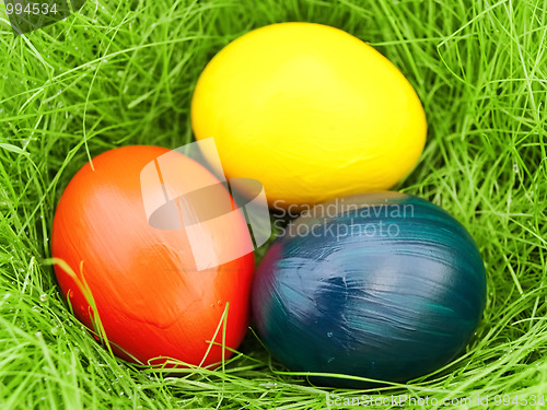 Image of eastern eggs