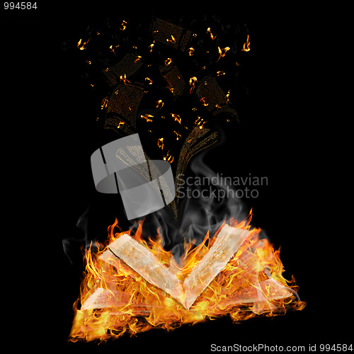 Image of manuscripts do not burn