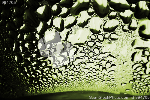 Image of Green drops of water - light from backside. Macro