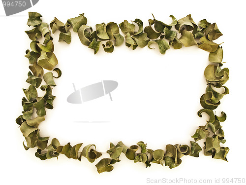 Image of leaves border