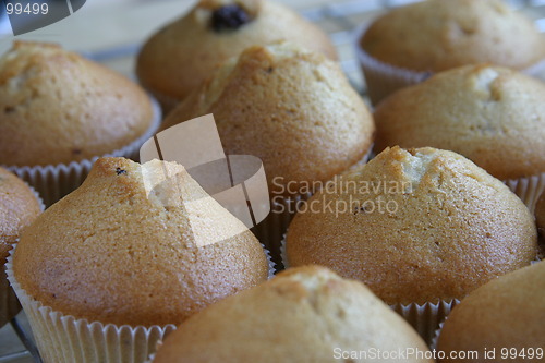 Image of Muffins