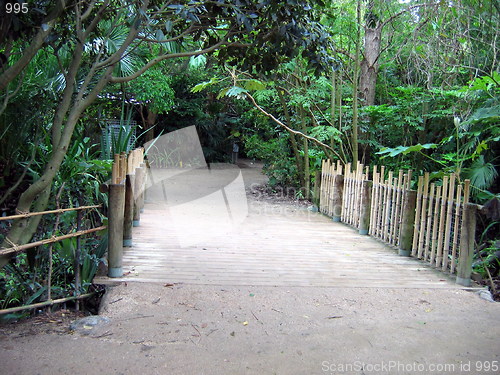 Image of The path. Melbourne. Australia