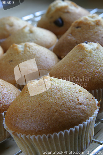 Image of Muffins