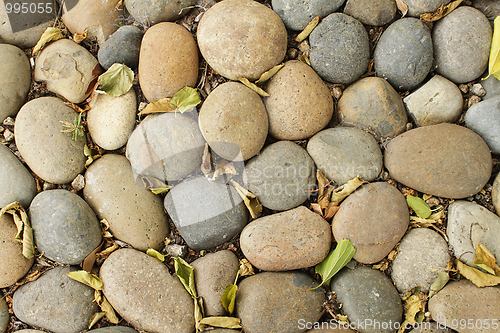 Image of Pebbles